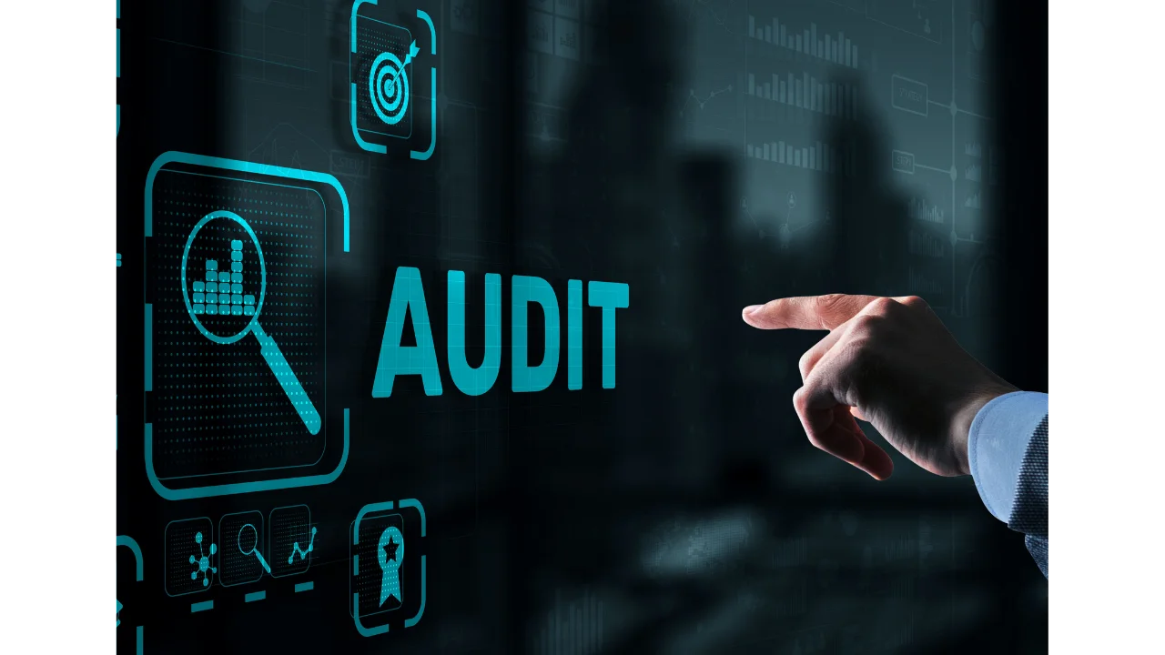 Audit backlink website
