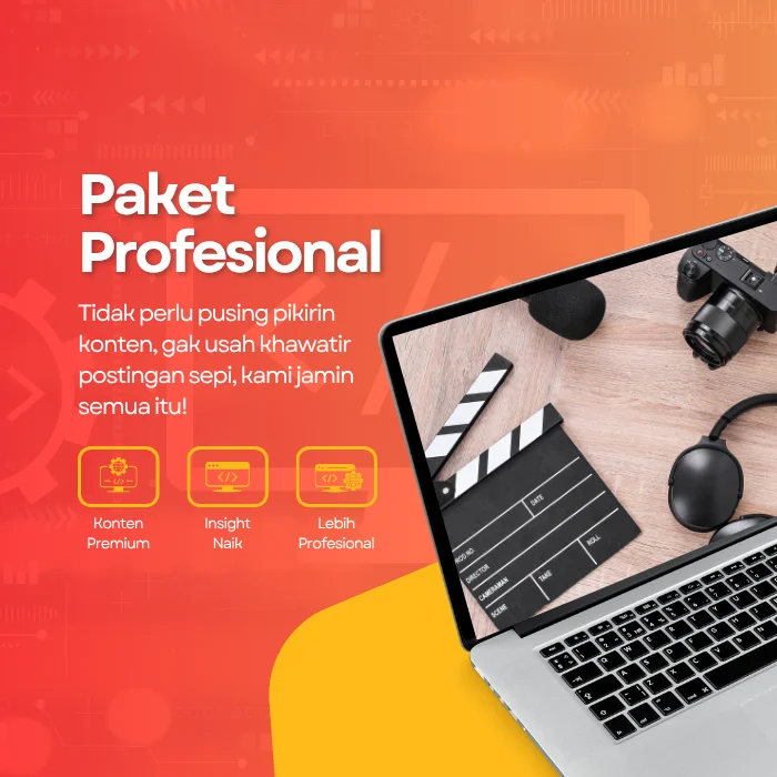 paket social media management professional